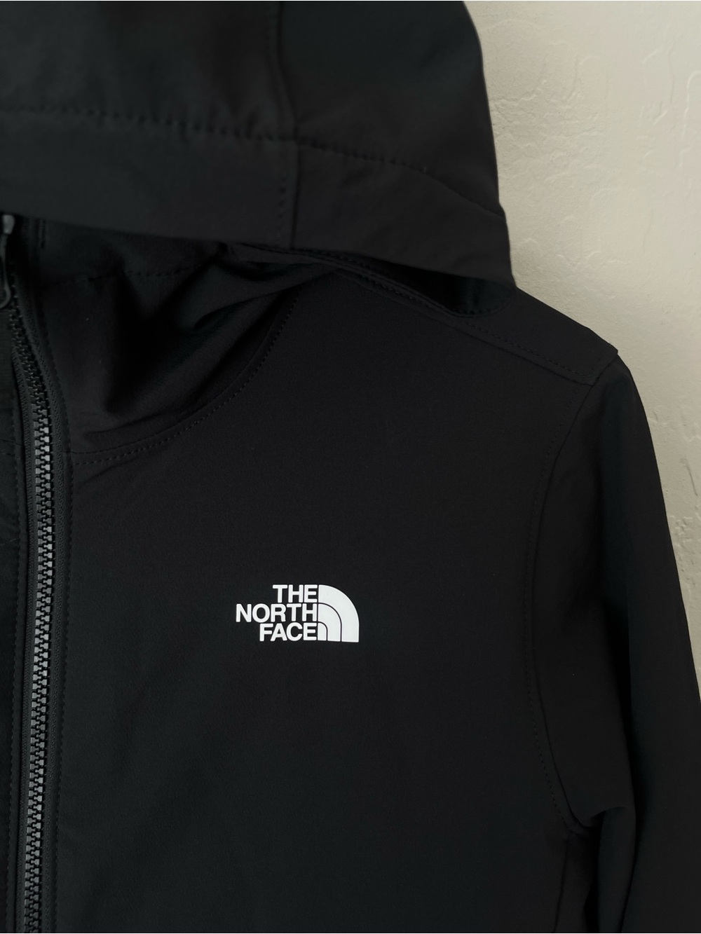 The North Face Shelbe Raschel Hoodie Jacket warm lining black small - Picture 8 of 14